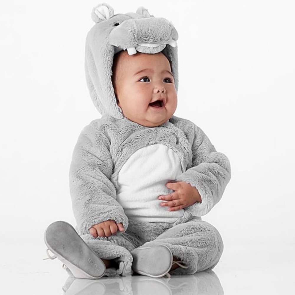 Pottery Barn Kids Hippo Costume